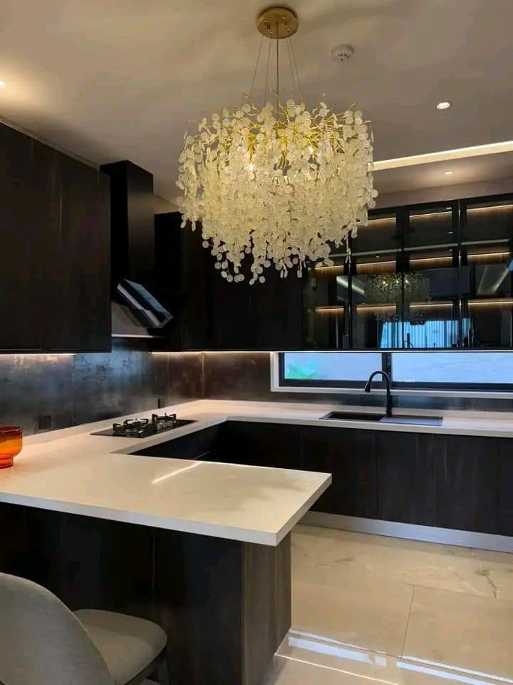 1 kanal modern stunning house kitchen